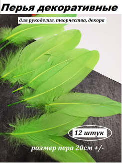 Перья 20см, упаковка 12 шт. (зеленый)
