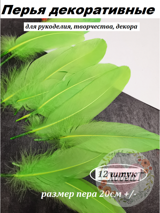 Перья 20см, упаковка 12 шт. (зеленый)