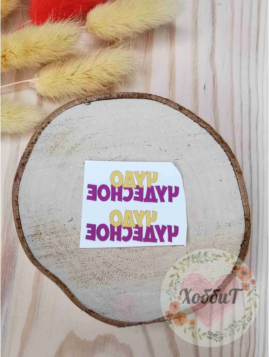 Термонаклейки цветные для бантиков №10 "Чудо чудесное", 1 пара