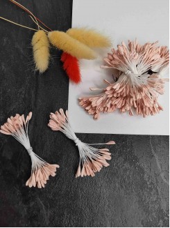 Тычинки матовые на нитке (пастельный пудра) 30шт.