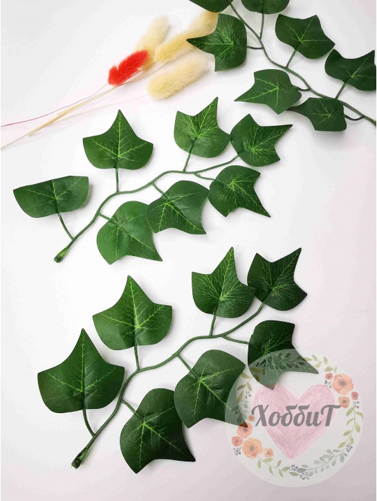 Листья Плюща 7 лисов на ветке, (темно-зеленый)