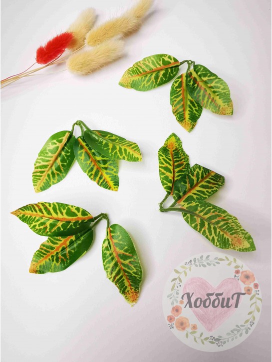 Листья Кротона 3 листа на ветке, (трехцветный), 1шт.