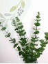 Ветка декоративная "Эвкалипт" 39*4,5см