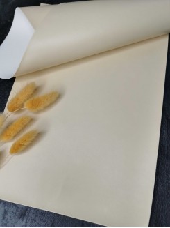 Кожзам текстурный матовый 21*29,5см (ванильный)